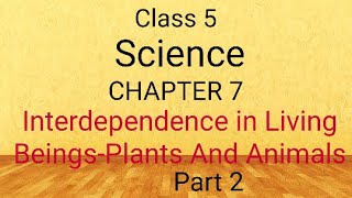 CLASS 5CHAPTER 7INTERDEPENDENCE IN LIVING BEINGSPLANTS AND ANIMALSPART 2 [upl. by Hyacinthia]