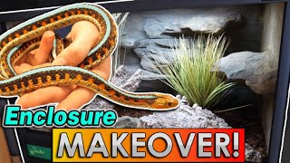 Our RedSided Garter Snakes get an Upgrade [upl. by Ttreve]