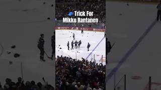 Rantanen Scores 🧢 Trick  🍎 MikkoRantanen ColoradoAvalanche NHLHighlights [upl. by Anigar]