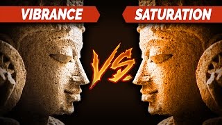 Saturation Vs Vibrance  Lightroom Tutorials 9 [upl. by Rigby251]