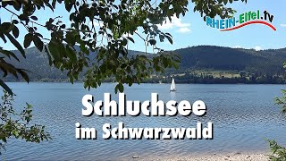 Schluchsee  Schwarzwald  RheinEifelTV [upl. by Lesnah]