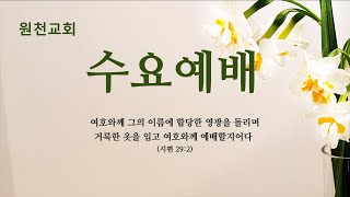 원천교회 2024 02 28 수요예배실황 [upl. by Zed]