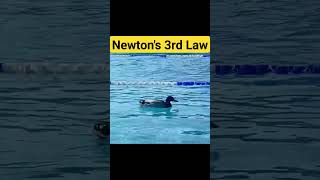 Newtons 3rd law Newtons third lawlaws of motion shorts viral trending lawsofmotion science [upl. by Hanni]