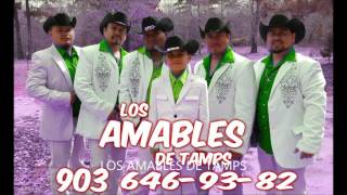 LOS AMABLES DE TAMPSBAILANDO EN TAMPS [upl. by Nerdna]