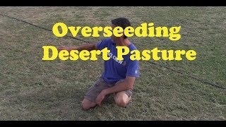 Overseeding Desert Pasture [upl. by Boyt711]