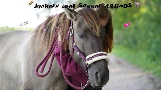 Junkern beel Sommer 4amp5NDS 2023 [upl. by Kendyl]