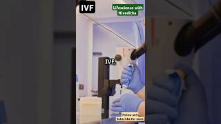 In Vitro Fertilization and Microinjection process in IVF ivfmicroinjectiongenetic engineering [upl. by Octavian248]