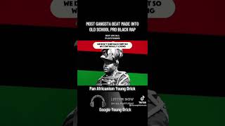 Pan Africanism Young Drick verse 2 [upl. by Kcin13]