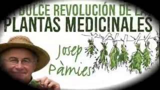 Visita a Dulce Revolución Josep Pamies 1472018 [upl. by Gnov]