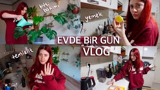 Evde bir günüm  VLOG  Temizlik yemek ve bitki bakımı [upl. by Yeltrab98]