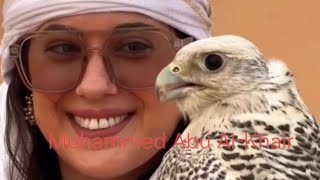 صقر جير صقر جير𓅃FalconryGyrfalcons Gyrطرح صقر Saker Falcons  فالكون 🦅Shaheen [upl. by Diley]