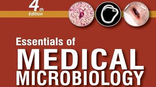 CANDIDA infection microbiology mbbs [upl. by Enaek]