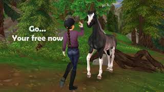 What about us  Star Stable Music Video [upl. by Aztiram819]