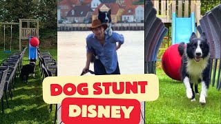 DOG COMMERCIAL for DISNEY Indiana Jones [upl. by Ahel]