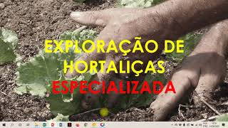 Aula 05 Olericultura Tipos de Exploração de Hortaliças Parte 02 [upl. by Guimond]