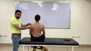 Therapeutic Connective tissue massage [upl. by Adlesirc431]