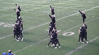 Carabins de l’Université de Montréal cheerleaders perform during playoff game vs McGill 11219 [upl. by Anaerol]