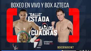 Ver Box Azteca 🥊 en Vivo y en Directo Online el Sábado [upl. by Xino]