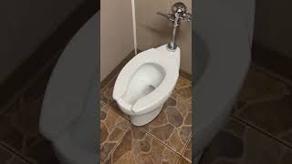 Kohler highcrest and wellcomme toilets old video [upl. by Ennovaj]