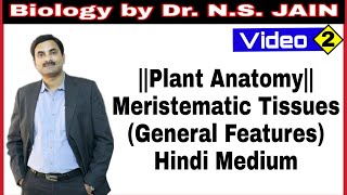 Meristematic Tissue Plant Anatomy Hindi Medium [upl. by Leahcim]