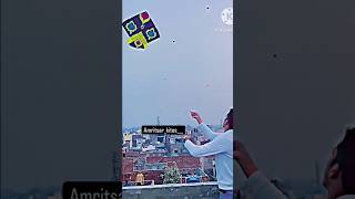 Kite flyingbig kite flyingkite shopping6tawa kites flying kites15August kite flying kite lover [upl. by Arit]