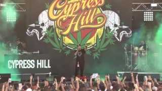 Cypress Hill Insane in the Membrane Live 2013 [upl. by Harrietta]