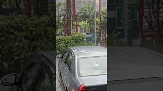 Early morning Chennai mein barish ho gai chennai viralvideo hitsong like comment viralvideo [upl. by Abisia]