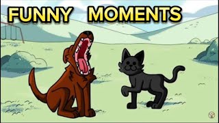 FUNNIEST Moments of Haminations [upl. by Agretha]