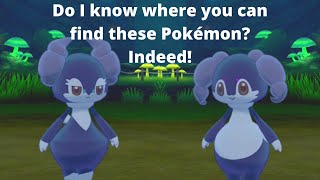 Where to Find Indeedee Male and Female in Pokémon Sword amp Shield [upl. by Chappelka]