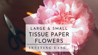 How to Make Tissue Paper Flowers  Two Sizes  Easy DIY [upl. by Hallvard]