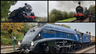 LNER Class A4 Pacific No 60007 Sir Nigel Gresley  Golden Arrow at Bluebell Railway  201024 [upl. by Limak]