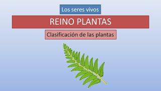 Plantas características y clasificación [upl. by Enos]