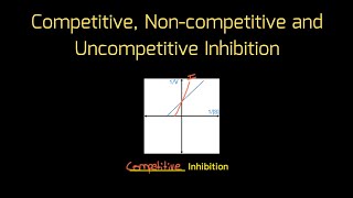 Competitive and NonCompetitive Inhibitors [upl. by Acire]