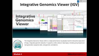 Genome Visualization [upl. by Ramedlav]