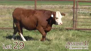 Lot 29 Anchor D Lillie 370L [upl. by Otrebogad]