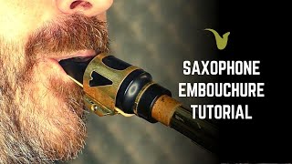 Saxophone Embouchure Tutorial [upl. by Sabine203]