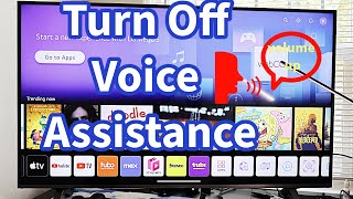 How To Turn off LG TV TalkBack Audio Guidance ShortCut Quick😮 [upl. by Ahsirhcal]