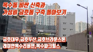 옥수동 임장 2탄 금호대우 금호두산 래미안옥수리버젠 옥수파크힐스 [upl. by Eytteb]