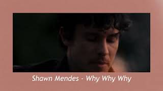 Shawn Mendes  Why Why Why  slowed amp reverb [upl. by Ennovehc]