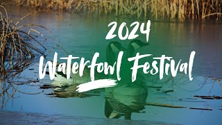 Waterfowl Festival 2024 [upl. by Elleahcim]