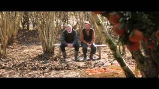 Tangerines  Mandarini Trailer ita [upl. by Guglielmo]