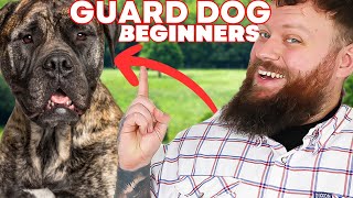 The Best GUARD DOG BREEDS FOR FIRST TIME OWNERS [upl. by Hosea94]