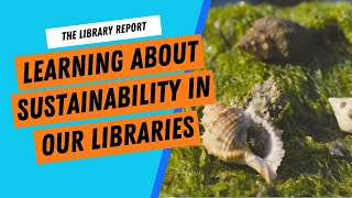 Exploring the Intertidal Zone and Marine Sustainability  The Library Report 47 [upl. by Atsylak]