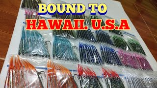 BOUND TO HAWAIIUSA [upl. by Orel]