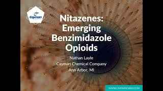 Nitazenes  Emerging Benzimidazole Opioids [upl. by Leva]