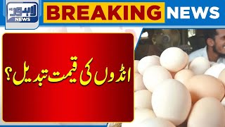 Important News Regarding Egg  Chicken Prices  Lahore News HD [upl. by Dolora164]