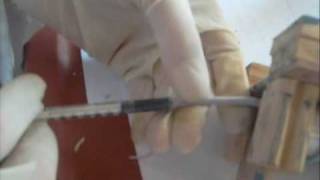 successful intravenous injection in mice [upl. by Jaret]