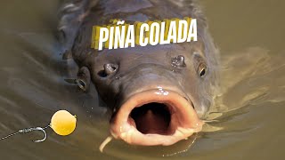 DIY Pina Colada Carp Boilies Irresistible Bait Recipe 🍍🎣 [upl. by Veradia]