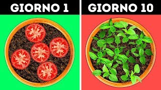 23 IDEE GENIALI PER IL TUO GIARDINO [upl. by Aiahc]