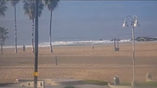 Venice Beach Webcam  Venice Beach Live Cam  venice beach live boardwalk cam [upl. by Ativ380]